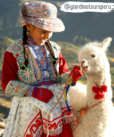 Colca Valley- embroidery