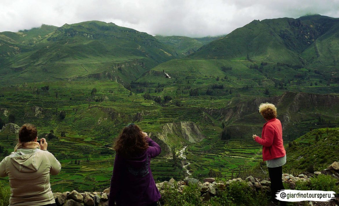 Cañón del Colca_ Colca Canyon