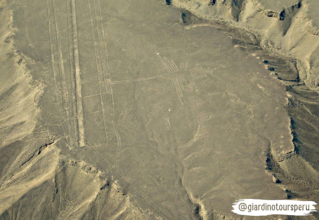 Nazca lines _ Líneas de Nasca