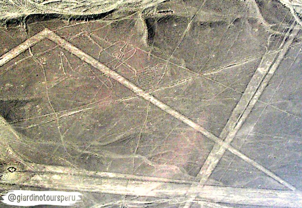 Nazca lines _ Líneas de Nasca