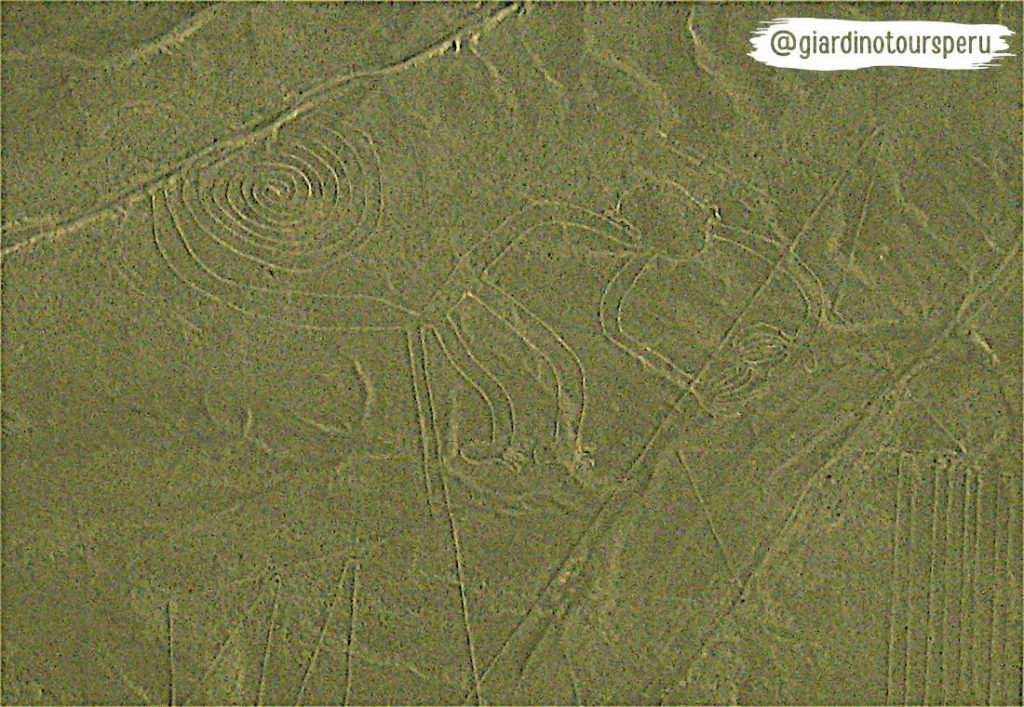 Nazca Lines _Lineas de Nazca