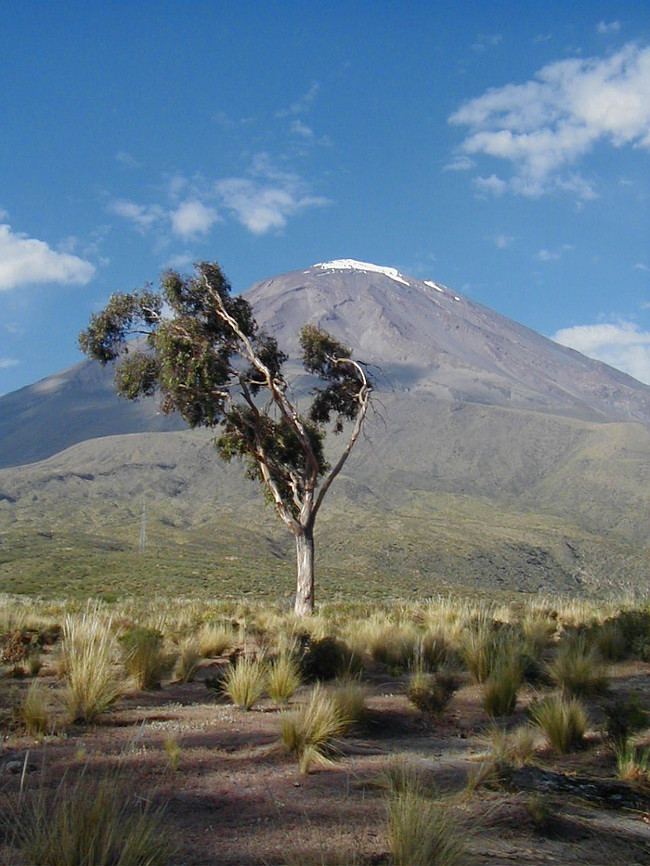 Climb Misti Volcano (5,825 M) 2 days - South America Planet