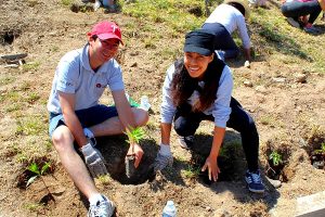 Read more about the article Replanting of 11000 trees in Arequipa